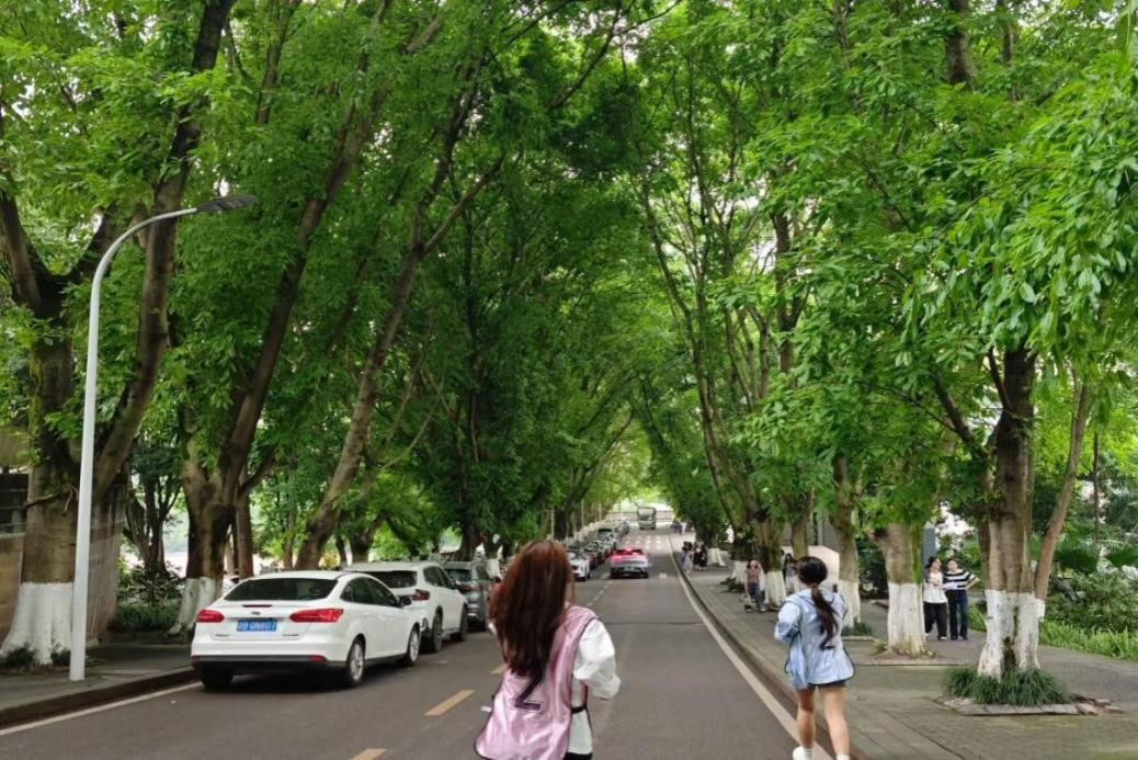 5月16日太阳成集团tyc122ccvip开展第十三届“筑梦启航”体育文化节定向越野竞赛圆满收官 原图2.jpg
